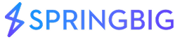 What is Springbig?