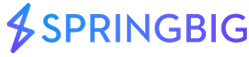 What is Springbig?
