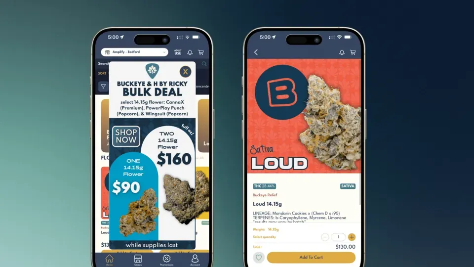 Amplify Mobile App image