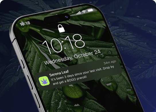 Custom Campaign Flows