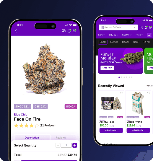 Connect your POS to mobile ordering.